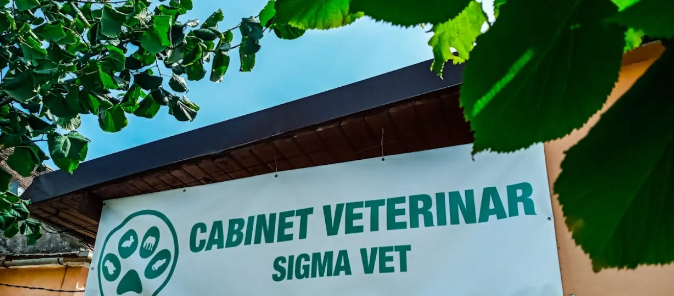 Sigma Vet — fotografie de copertă