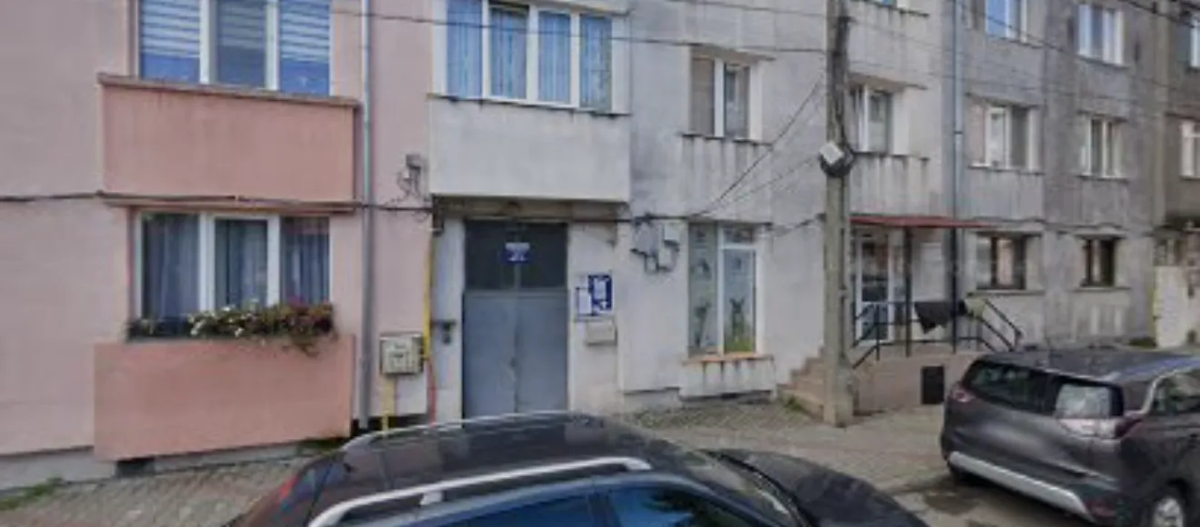 Pet love vet — fotografie de copertă