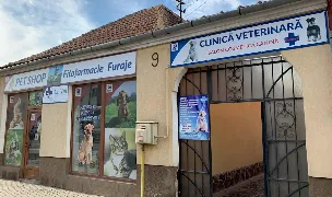 DanVet MedpetClinic Veterinar Medias. Cabinet Veterinar Medias — Spitale Veterinare, Mediaș, Sibiu