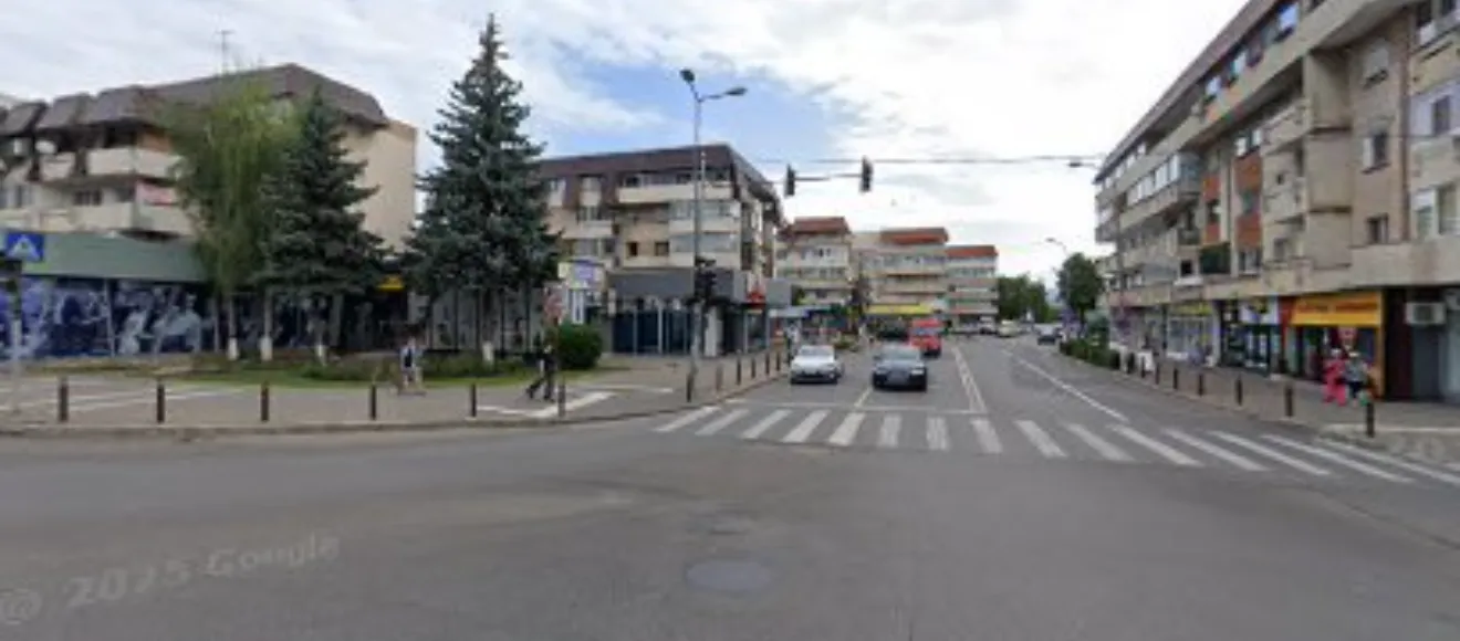 DARIMAR HELP VET — fotografie de copertă