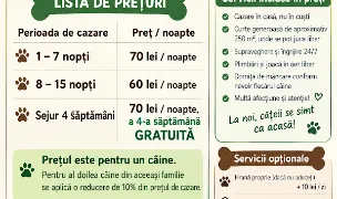 Dog Hotel XXS Hotel de caini — Pensiuni Câini & Pisici, Sectorul 6, Bucuresti