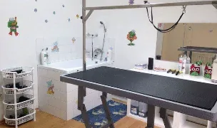 Doravet4pet — Cabinete Veterinare, Maramureș