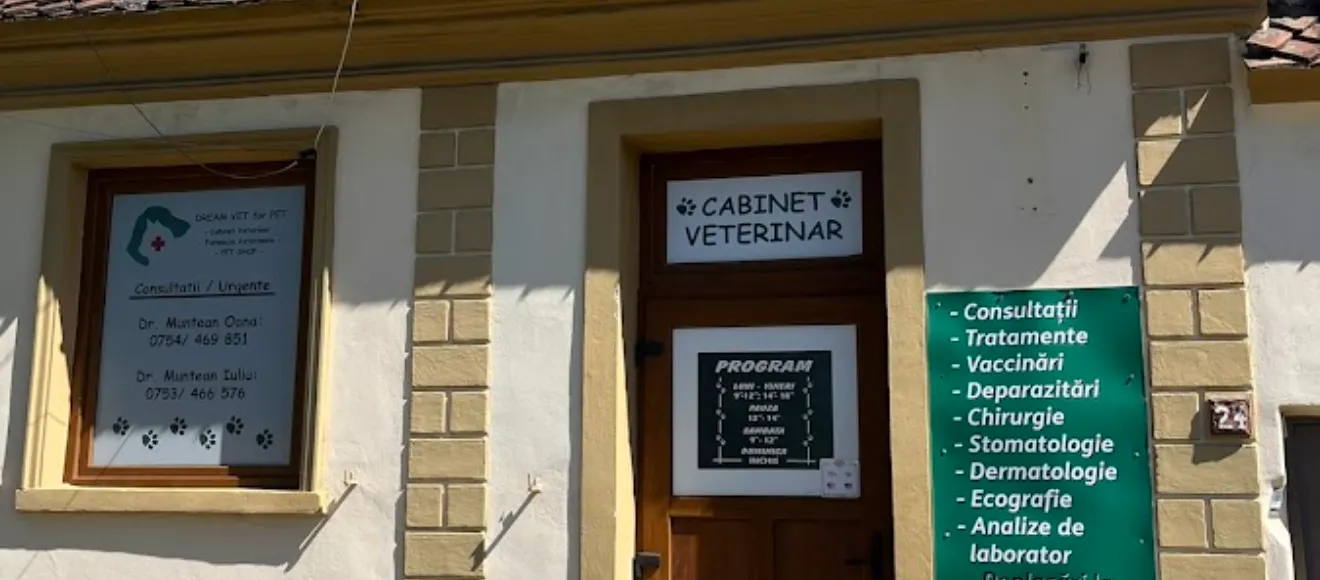 Dream Vet fot Pet — fotografie de copertă