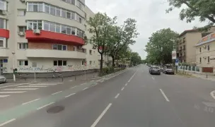 Dresaj caini Bucuresti — Dog Adoption, Sector 1, Bucharest