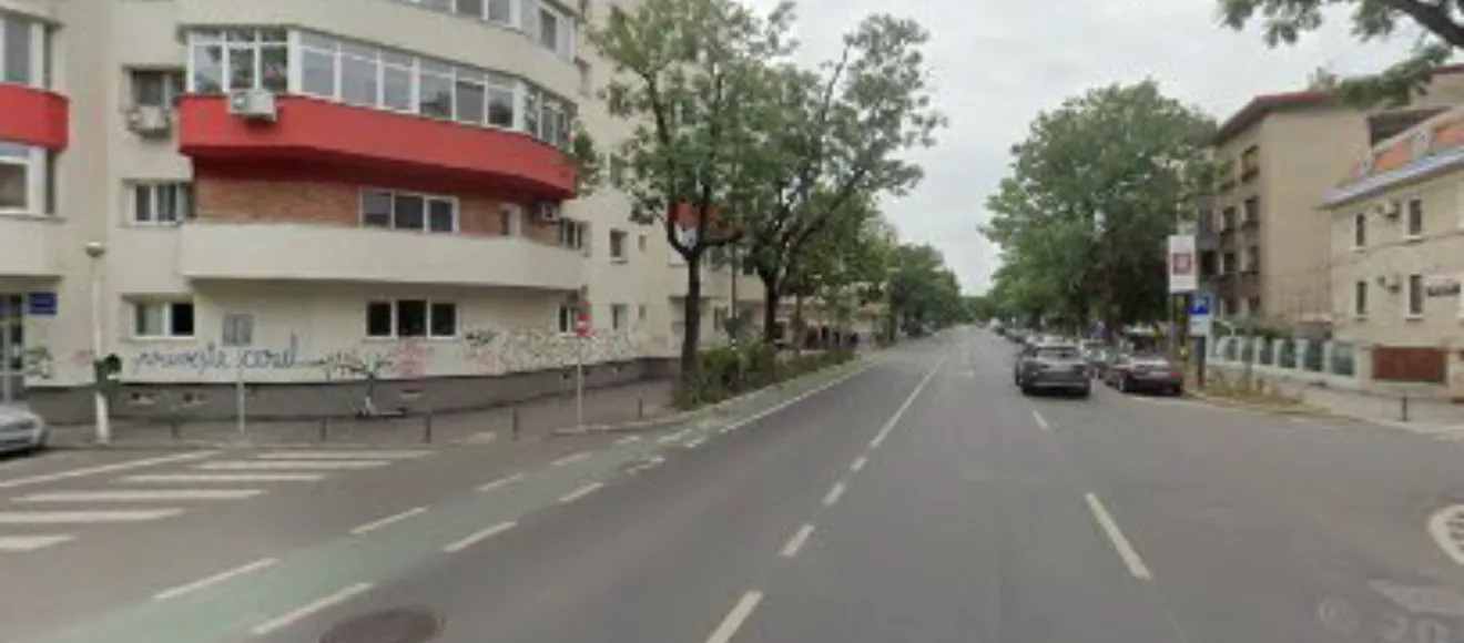 Dresaj caini Bucuresti — fotografie de copertă