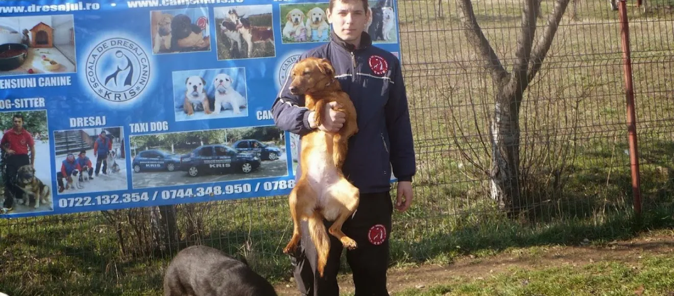 Dresaj Canin — fotografie de copertă