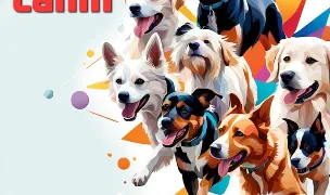Dresaj canin — Adopție Câini, Sectorul 3, București