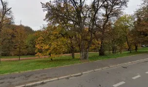 Dresaj Canin Cu Vorba Buna — Dog Adoption, Sibiu