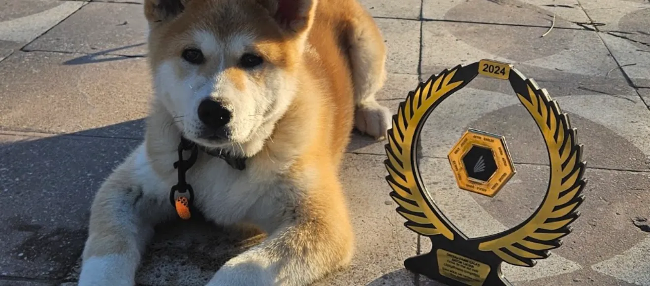 Dresaj Canin Galati Dogsport -Galati Instructor Autorizat ACHR — fotografie de copertă