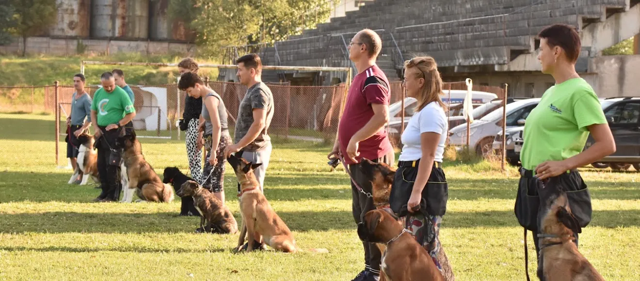 Dresaj canin Smart Dogs Land — fotografie de copertă