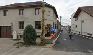Dresaj Rase Caini — Dog Adoption, Sibiu