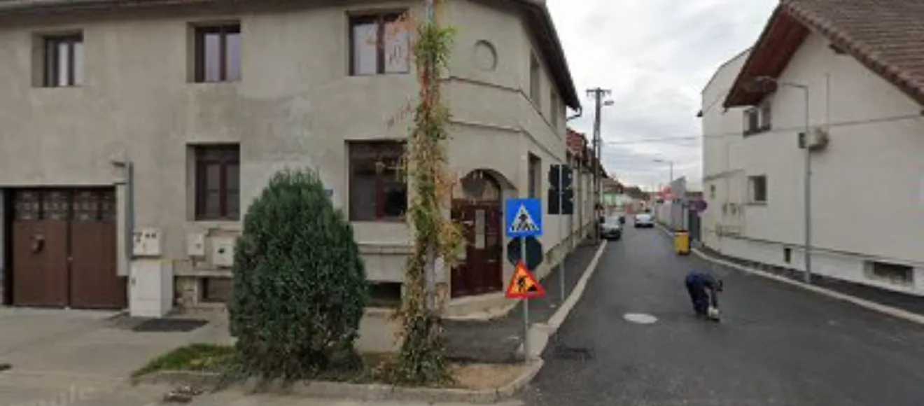 Dresaj Rase Caini — fotografie de copertă
