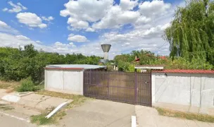 Dresaj si Pensiune Canină Călărași — Dog Adoption, România