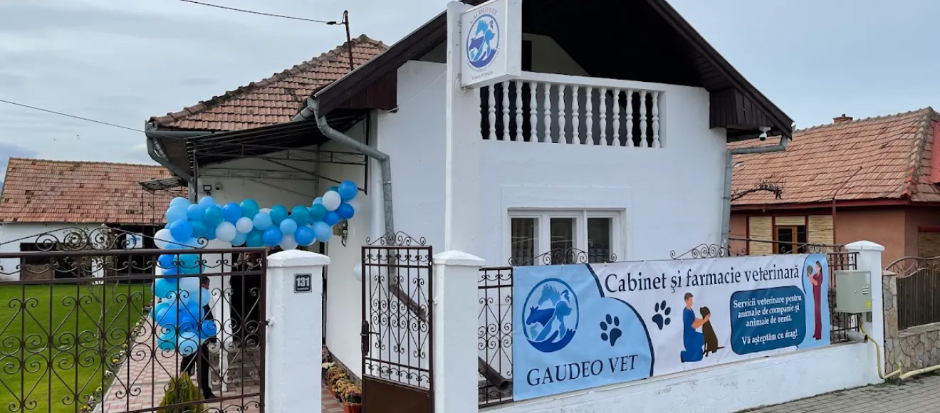 Gaudeo Vet — fotografie de copertă
