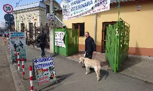 Fotografia de copertă a listării