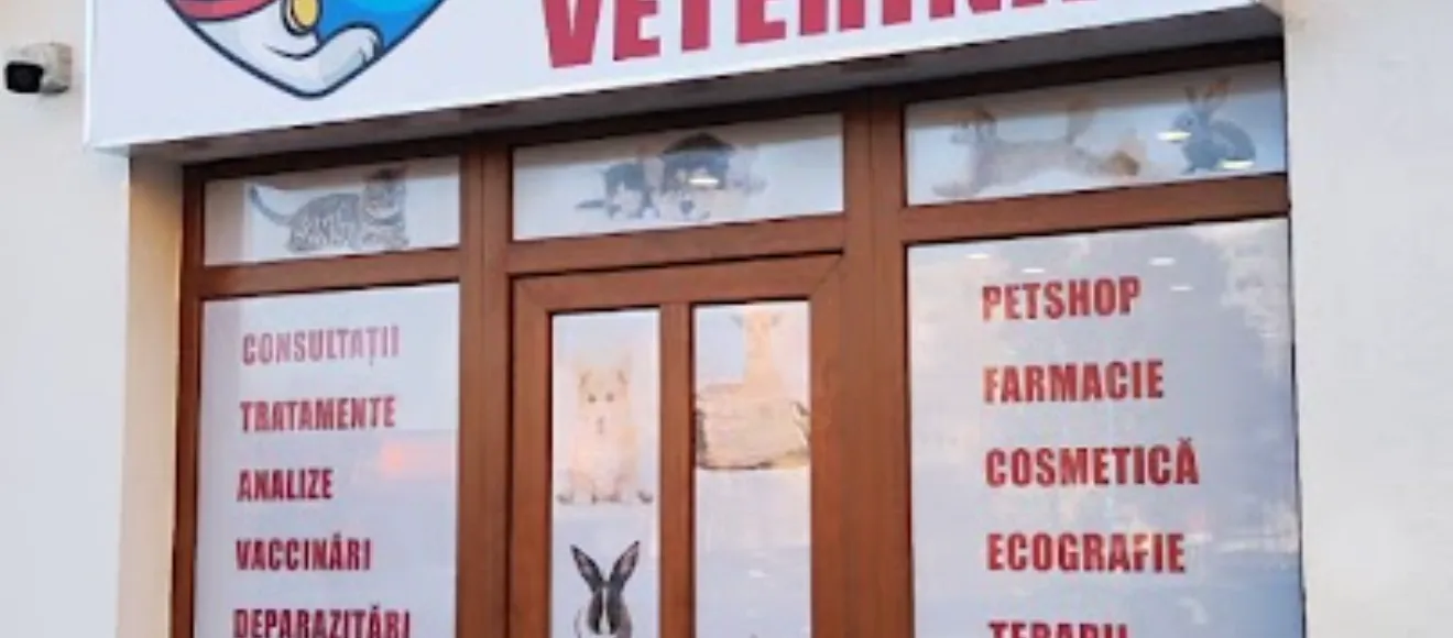 Holistic Vet — fotografie de copertă