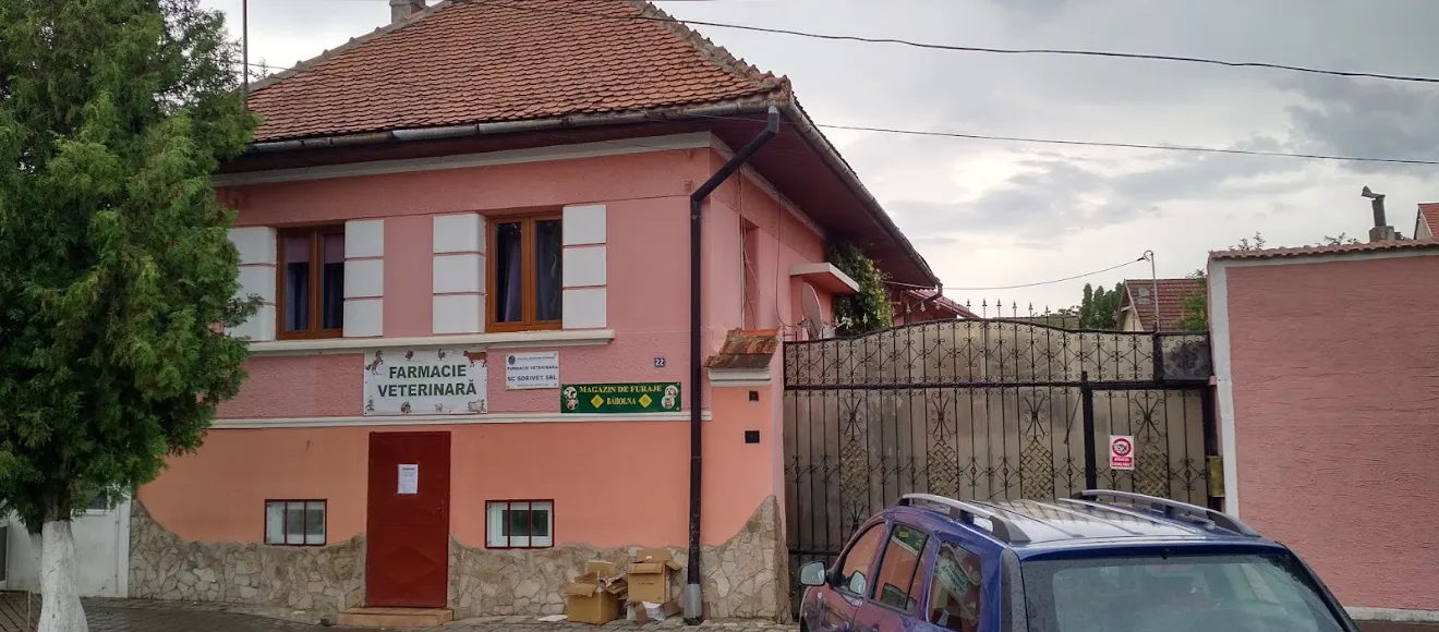 SORIVET S.R.L — fotografie de copertă