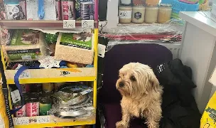 Farmacie Veterinara MVET Service — Farmacii Veterinare, Călărași