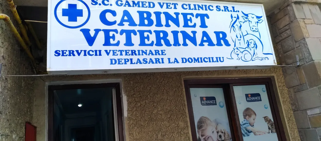 Gamed Vet — fotografie de copertă