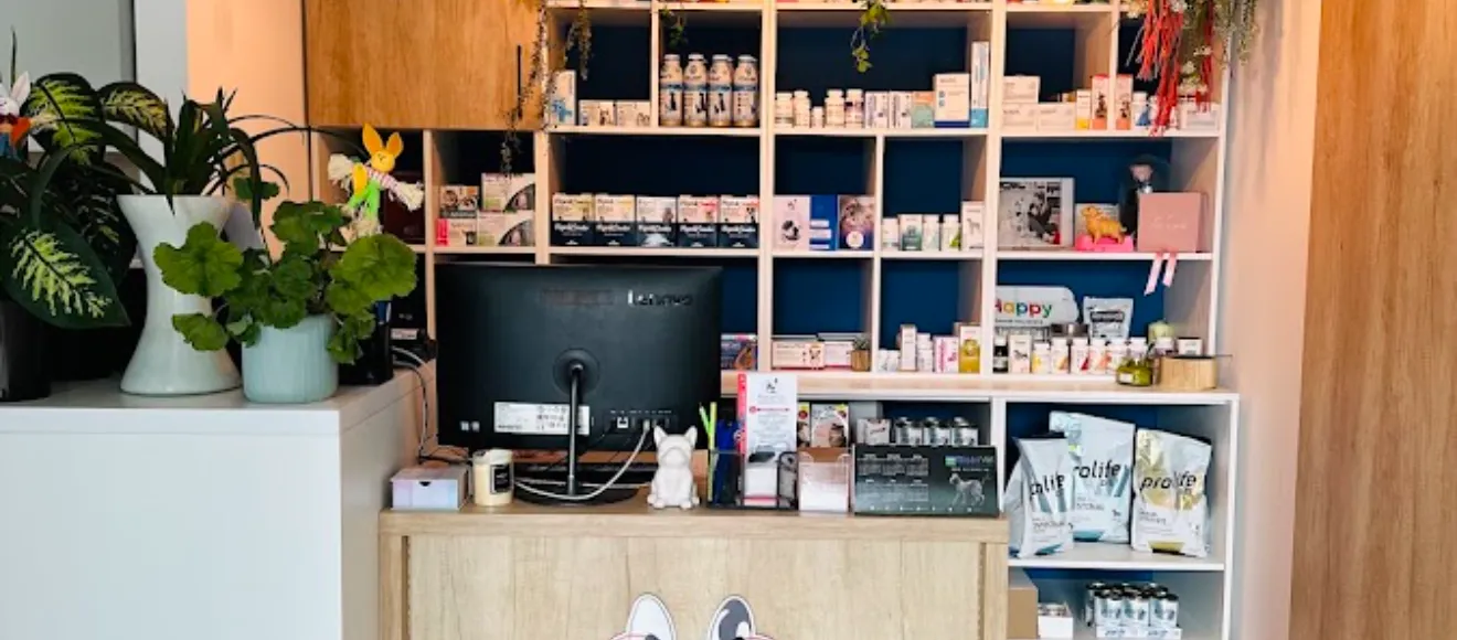 Jack Medical Vet — fotografie de copertă