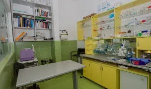 Kerberos S.R.L. — Cabinete Veterinare, Municipiul Brașov, Brașov