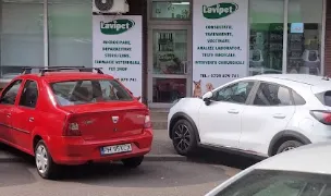 LAVIPET SUD — Spitale Veterinare, Ploiești, Prahova