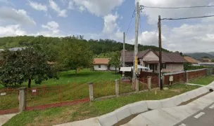 Lungu Bogdan — Cabinete Veterinare, Bacău