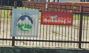 Mantrailing Romania — Dog Adoption, Sector 3, Bucharest