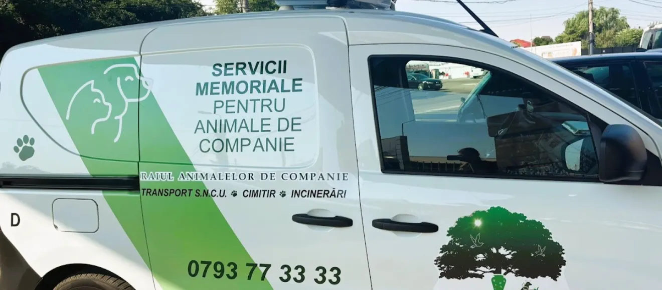 MEMORIAL Pet — fotografie de copertă