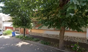 Molvet — Urgențe Veterinare, Municipiul Satu Mare, Satu Mare
