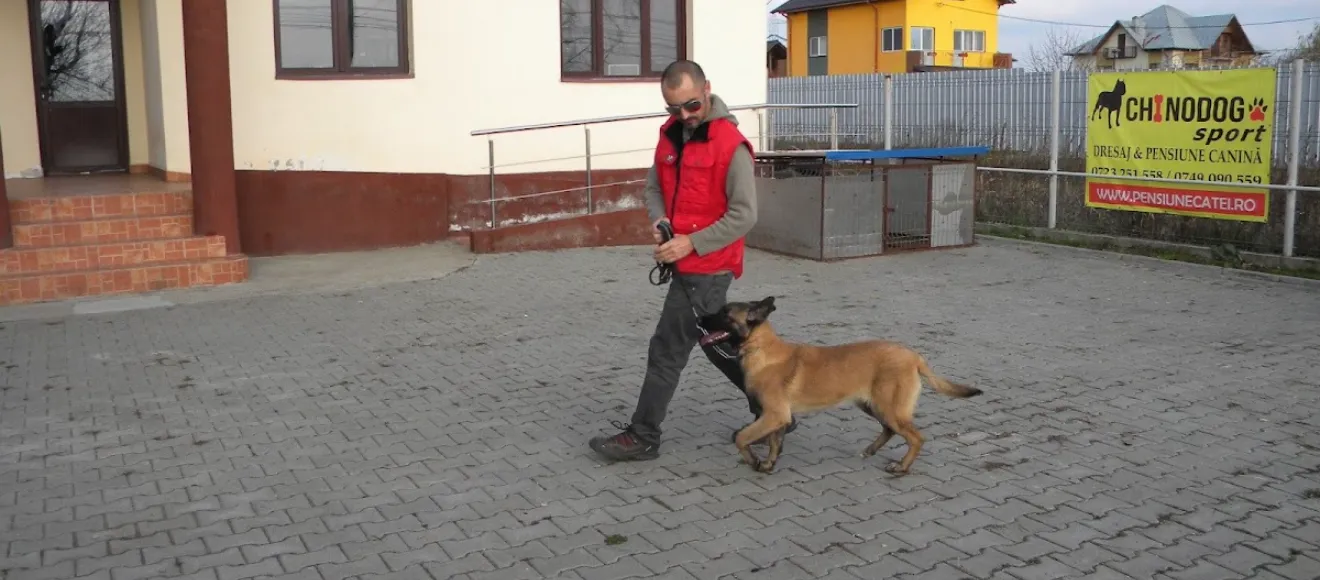 Pensiune canina Chinodog — fotografie de copertă