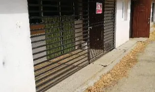 Pensiune Cazare Canina — Dog & Cat Boarding, Sibiu