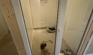 Pet Friends Hotel — Dog & Cat Boarding, Ciorogarla, Ilfov