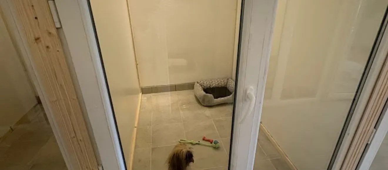 Pet Friends Hotel — fotografie de copertă