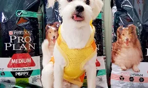 PetWorld by Robleo — Pet Shop, Târgu Jiu