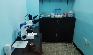 PIATRA VET — Spitale Veterinare, Piatra Neamț