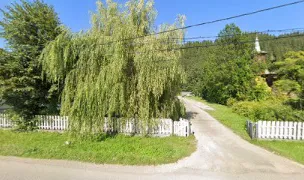 Popa Florentina — Veterinary Practices, Suceava