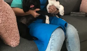 Roxi Pet Salon — Cazare Animale, Sectorul 6, Bucuresti