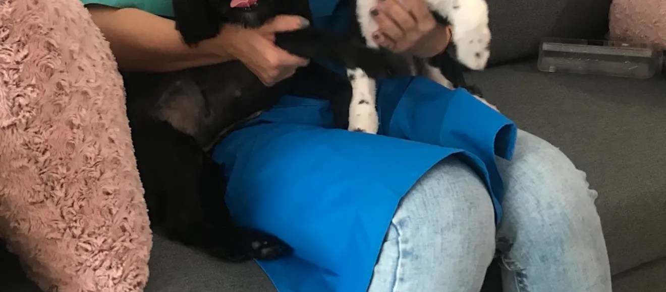 Roxi Pet Salon — fotografie de copertă
