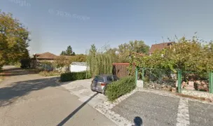 Sakuraban kennel — Dog Breeders, Arad