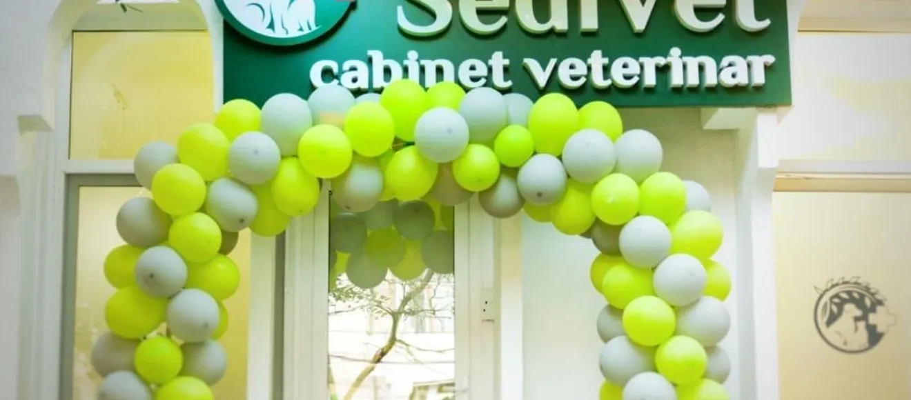 Sedi Vet Medical Cabinet Veterinar — fotografie de copertă