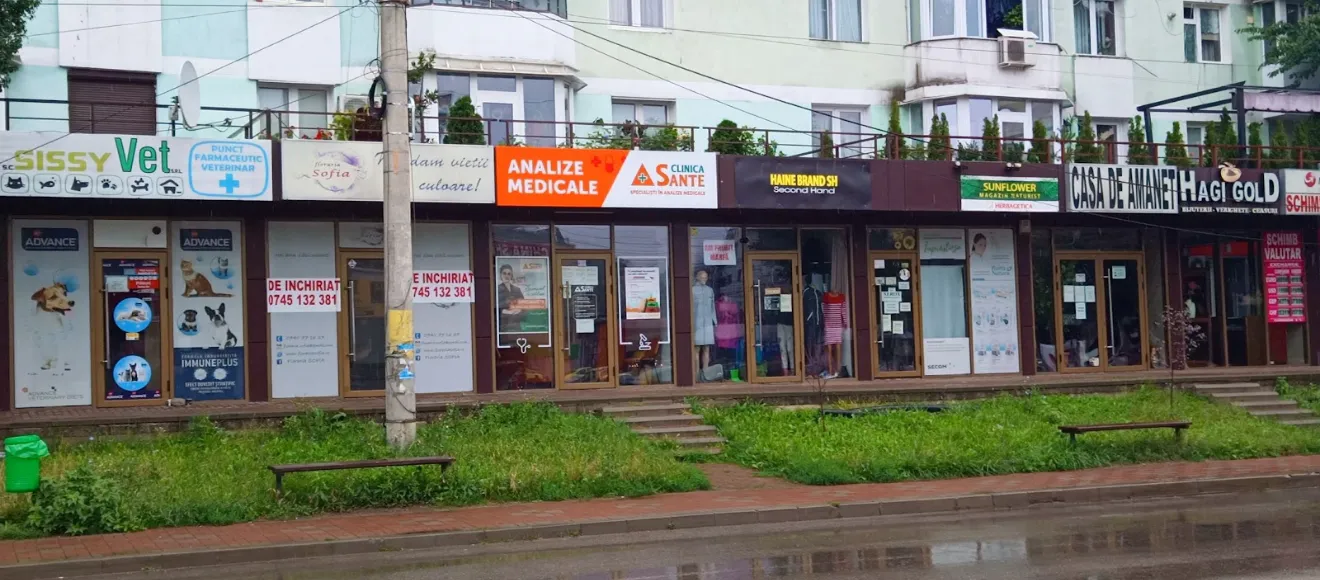Sissy Vet — fotografie de copertă