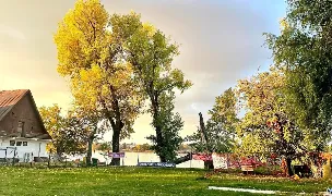 Sky Land — Dog Adoption, Buftea, Ilfov