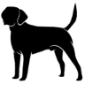 Logo Terra Happy - Canisa Labrador Retriever