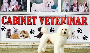 TOTALVET SIBIU — Veterinary Practices, Sibiu