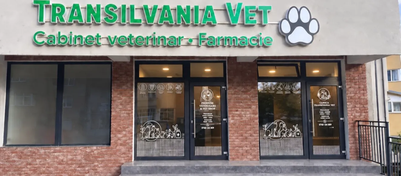 Transilvania Vet — fotografie de copertă