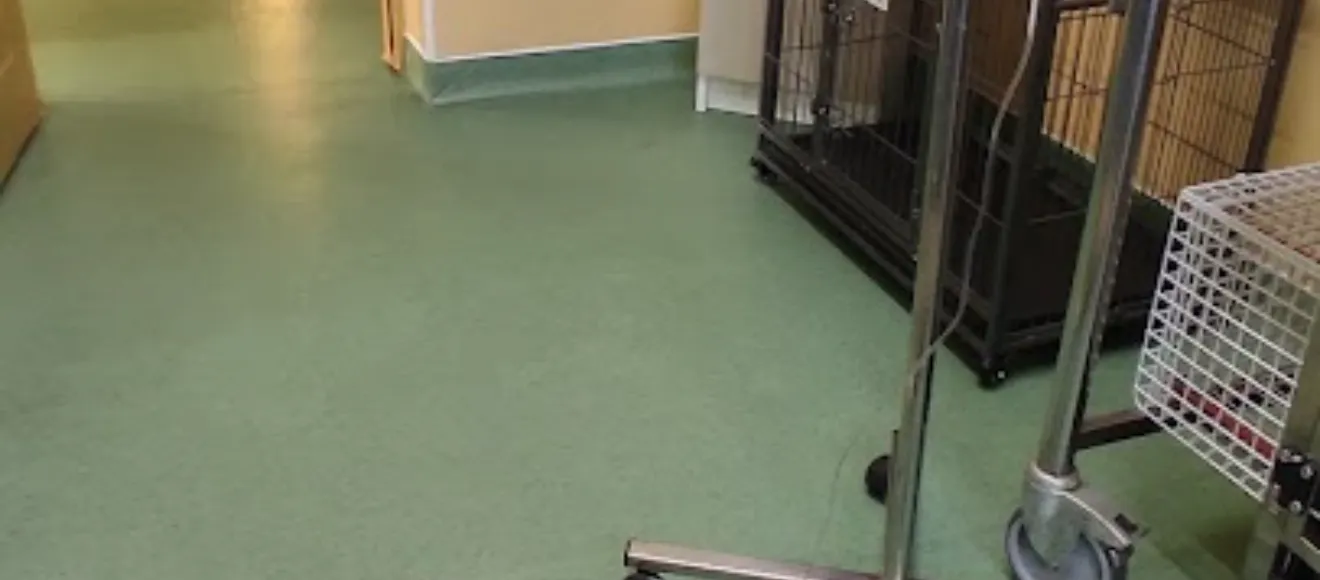 URGENTE VET CLINIC — fotografie de copertă