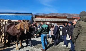 VET MEDICA SRL — Spitale Veterinare, Bistrița-Năsăud