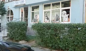VETERIN PRAX S.R.L. — Veterinar la Domiciliu, Reșița, Caraș-Severin