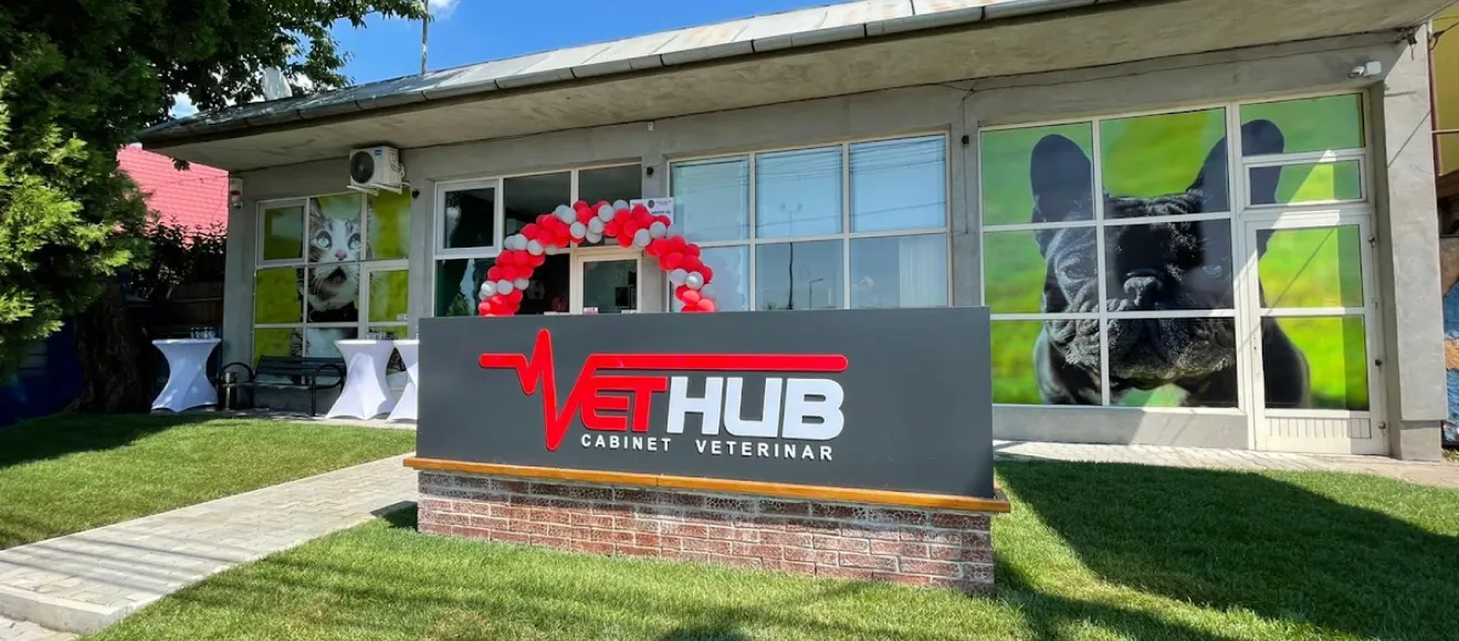VetHub - Cabinet Veterinar — fotografie de copertă